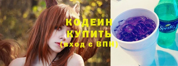 spice Няндома