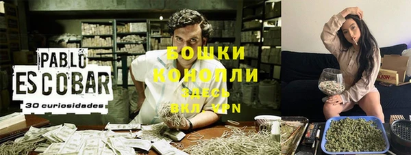 ешки Аркадак