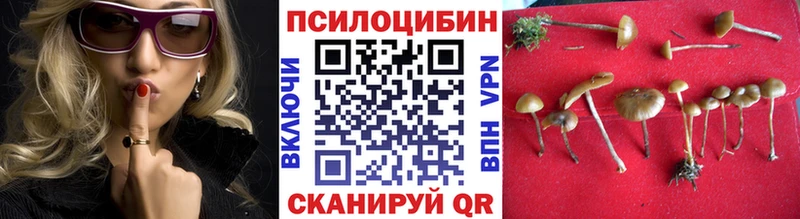 Псилоцибиновые грибы мухоморы  Партизанск 